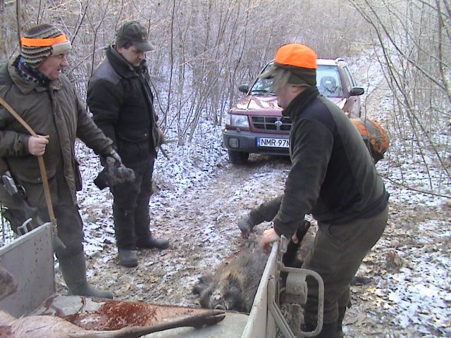 Polowanie noworoczne 03.01.2016